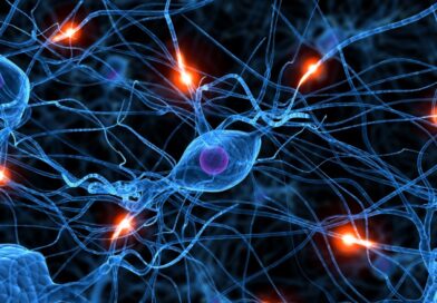 Raça e o sacerdócio: entendendo o contexto histórico da Igreja